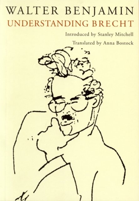Understanding Brecht, EPUB eBook