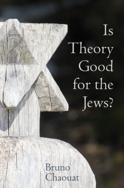 Is Theory Good for the Jews?, Paperback / softback Book