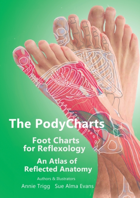 The PodyCharts foot charts for reflexology : An atlas of reflected anatomy, Paperback / softback Book
