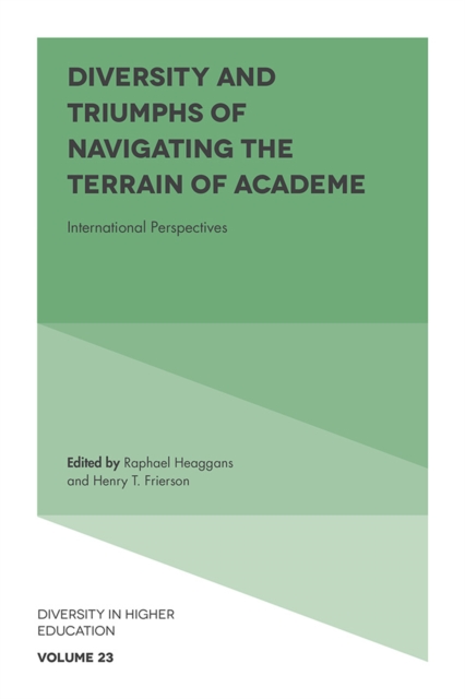 Diversity and Triumphs of Navigating the Terrain of Academe : International Perspectives, Hardback Book