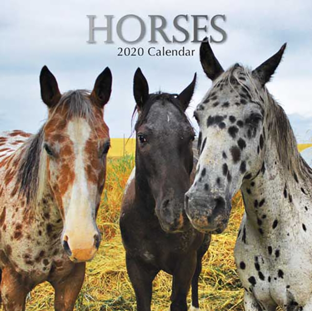 Horses : 2020 Square Wall Calendar, Calendar Book