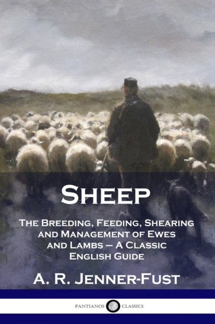 Sheep : The Breeding, Feeding, Shearing and Management of Ewes and Lambs - A Classic English Guide, Paperback / softback Book