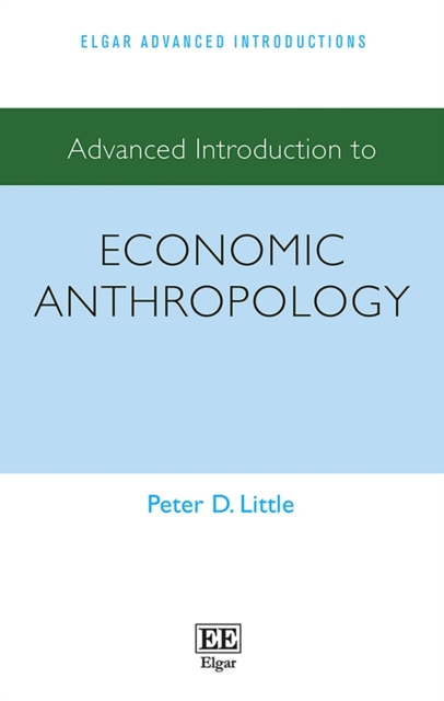 Advanced Introduction to Economic Anthropology, PDF eBook