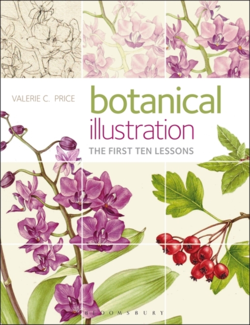 Botanical Illustration : The First Ten Lessons, EPUB eBook