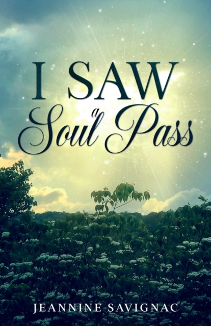 I Saw A Soul Pass, Paperback / softback Book