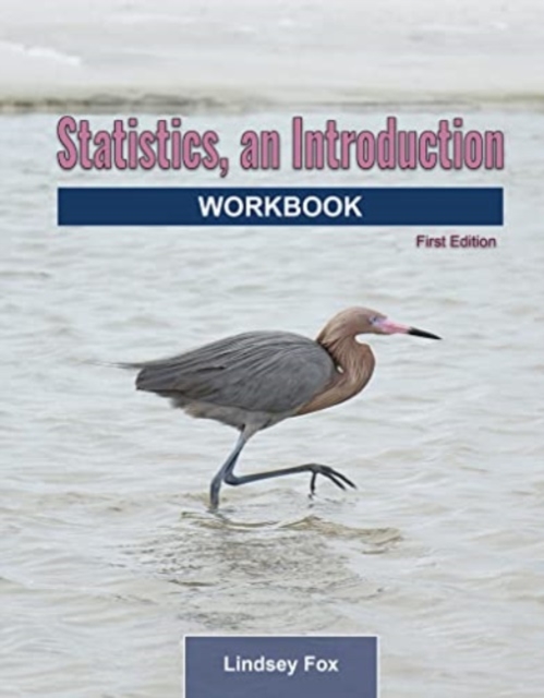 Statistics, An Introduction : Workbook, Spiral bound Book