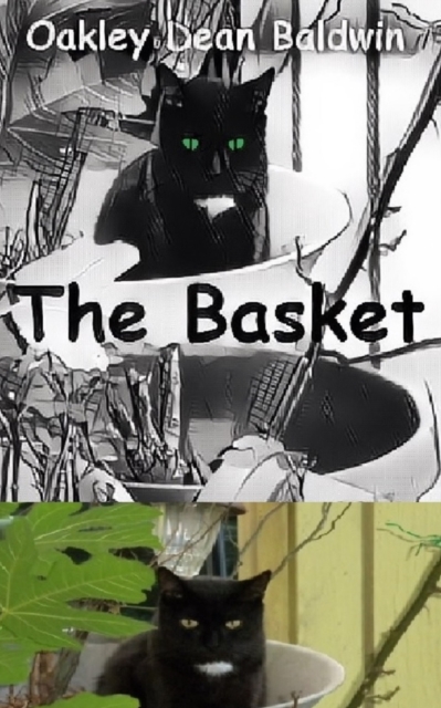 The Basket, Paperback / softback Book