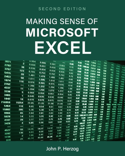 Making Sense of Microsoft Excel, Paperback / softback Book