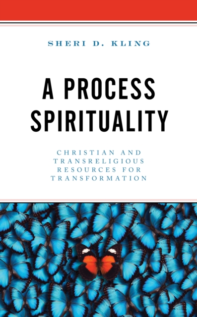 A Process Spirituality : Christian and Transreligious Resources for Transformation, Hardback Book