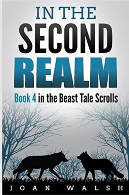 In the Second Realm, Paperback / softback Book