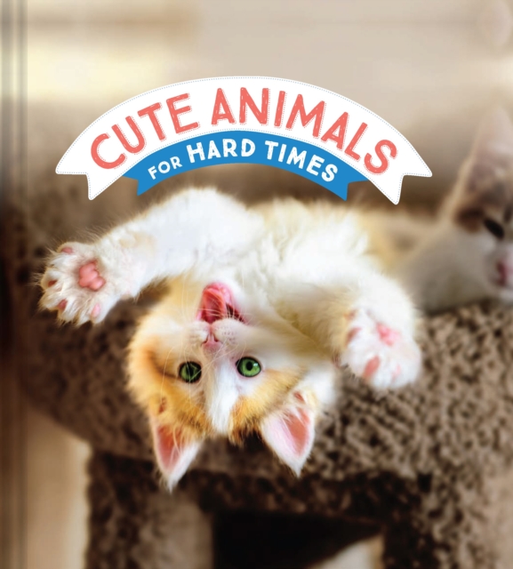 Cute Animals for Hard Times, Hardback Book