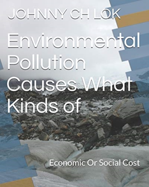 Environmental Pollution Causes What Kinds of : Economic Or Social Cost, Paperback / softback Book