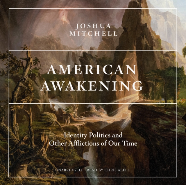 American Awakening, eAudiobook MP3 eaudioBook