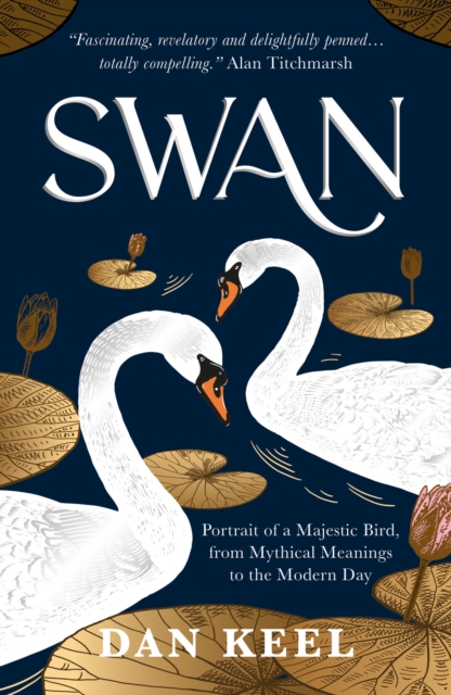 Swan : Portrait of a Majestic Bird, from Mythical Meanings to the Modern Day, Paperback / softback Book