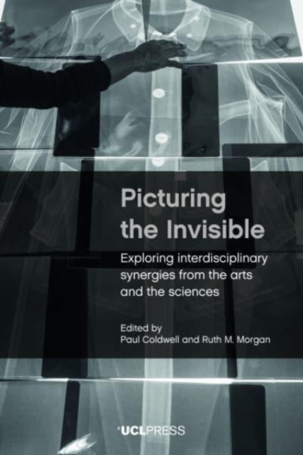 Picturing the Invisible : Exploring Interdisciplinary Synergies from the Arts and the Sciences, Paperback / softback Book