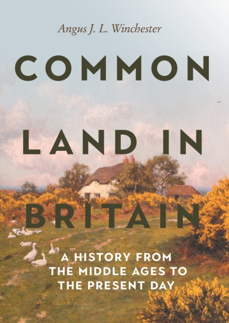 Common Land in Britain : A History from the Middle Ages to the Present Day, PDF eBook