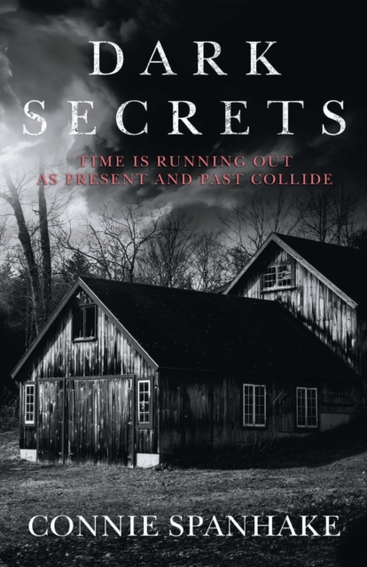 Dark Secrets, Paperback / softback Book