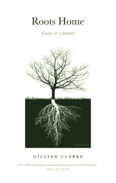 Roots Home : Essays and a Journal, Paperback / softback Book