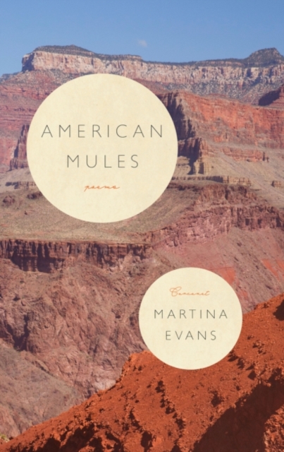American Mules, Paperback / softback Book