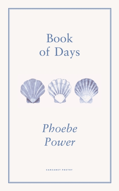 Book of Days, Paperback / softback Book