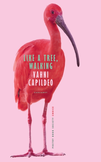 Like a Tree, Walking, Paperback / softback Book