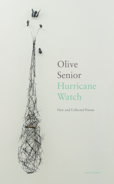 Hurricane Watch : New and Collected Poems, Paperback / softback Book