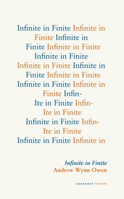 Infinite in Finite, EPUB eBook