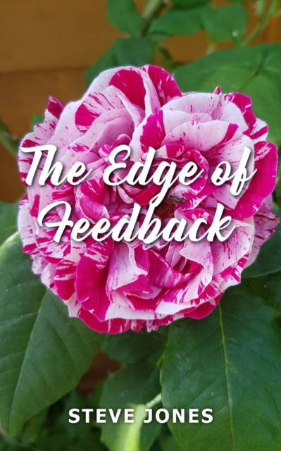 The Edge of Feedback, Paperback / softback Book