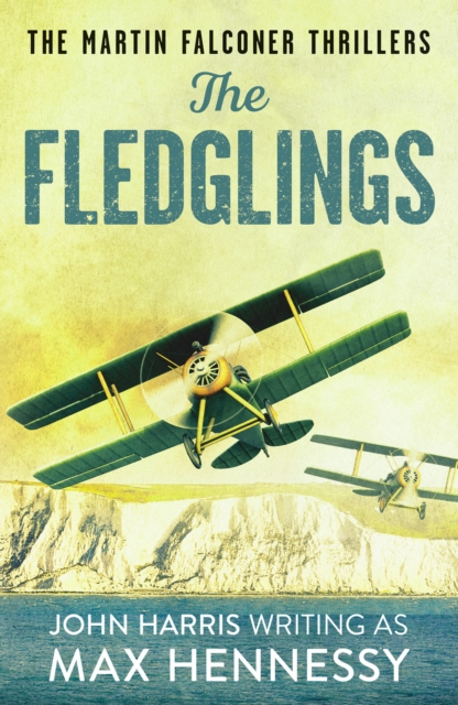 The Fledglings, Paperback / softback Book