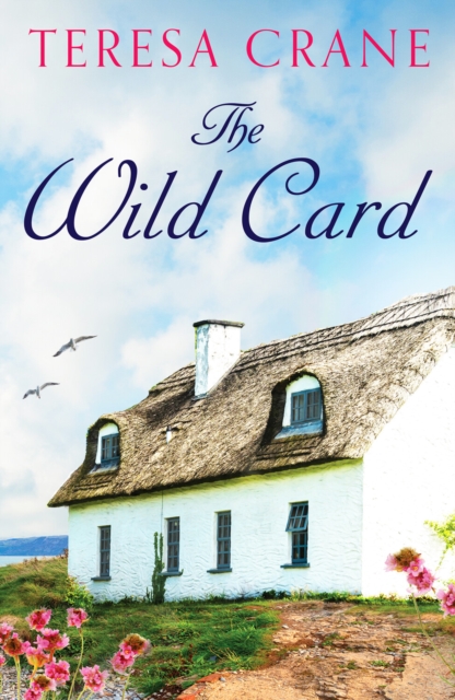 The Wild Card : An unforgettable novel of family drama, Paperback / softback Book