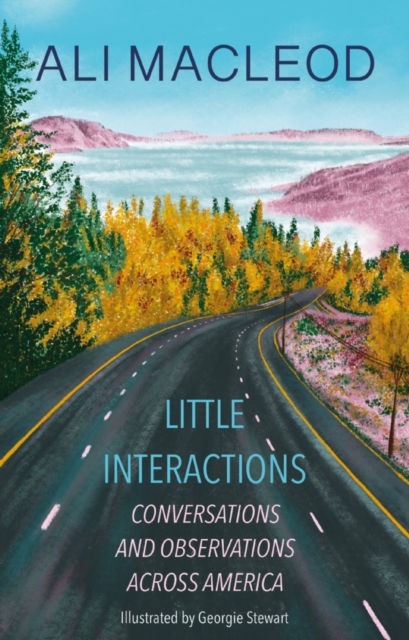 Little Interactions : Conversations and Observations across America, Paperback / softback Book