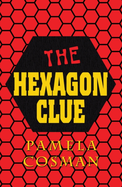 The Hexagon Clue, Paperback / softback Book