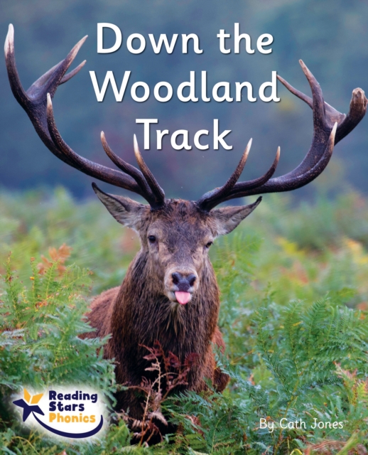 Down the Woodland Track : Phase 4, Paperback / softback Book