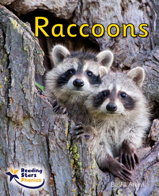 Raccoons : Phase 4, Paperback / softback Book