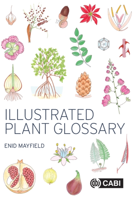 Illustrated Plant Glossary, Paperback / softback Book