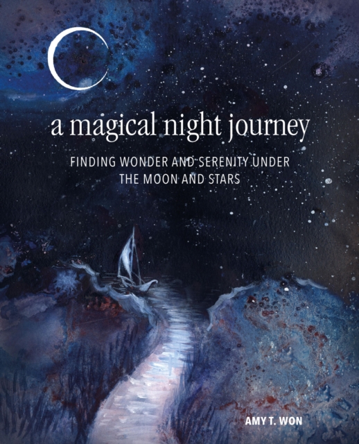 A Magical Night Journey, EPUB eBook