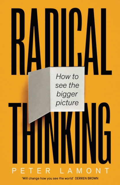 Radical Thinking : How to see the bigger picture, Hardback Book