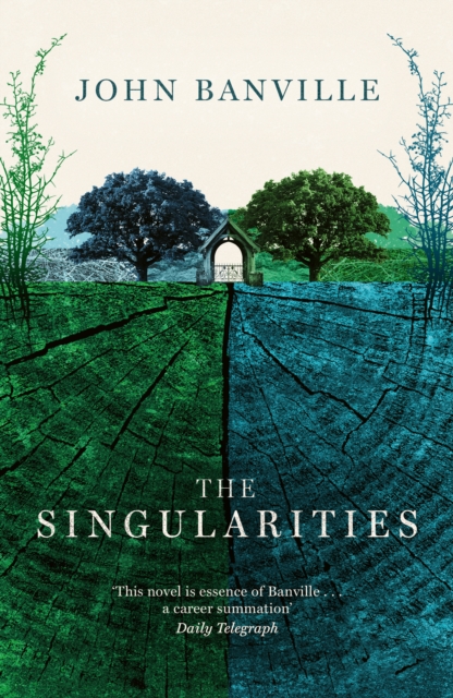 The Singularities, Paperback / softback Book
