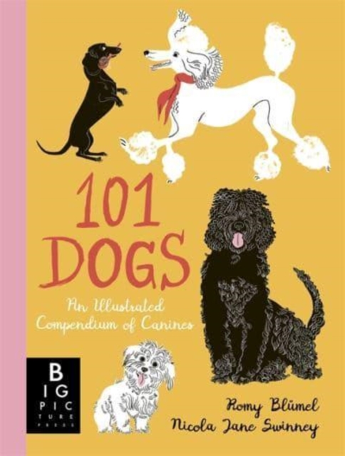 101 Dogs : An Illustrated Compendium of Canines, Hardback Book