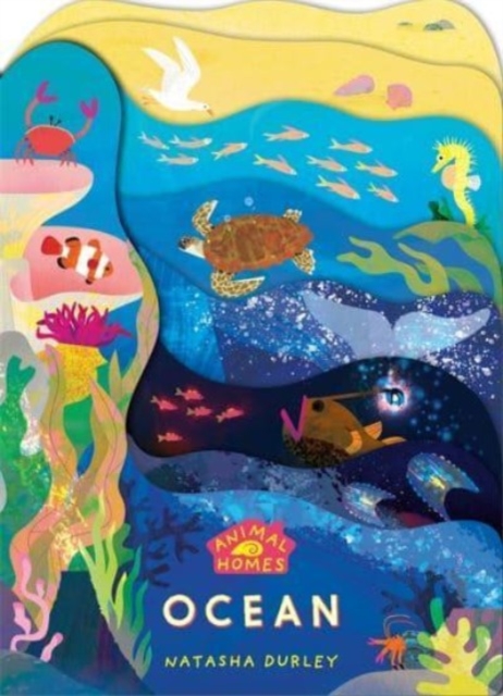 Animal Homes: Ocean, Board book Book