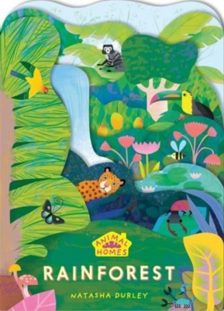 Animal Homes: Rainforest, Board book Book
