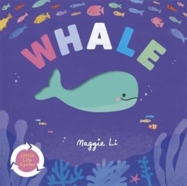 Little Life Cycles: Whale, Board book Book