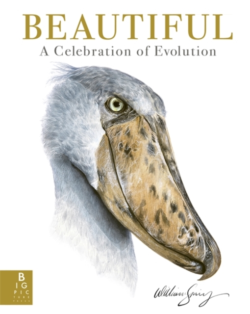 Beautiful : A Celebration of Evolution, Hardback Book