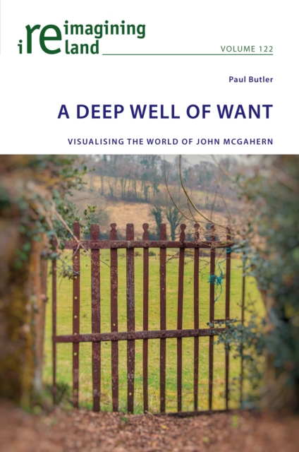 A Deep Well of Want : Visualising the World of John McGahern, Paperback / softback Book