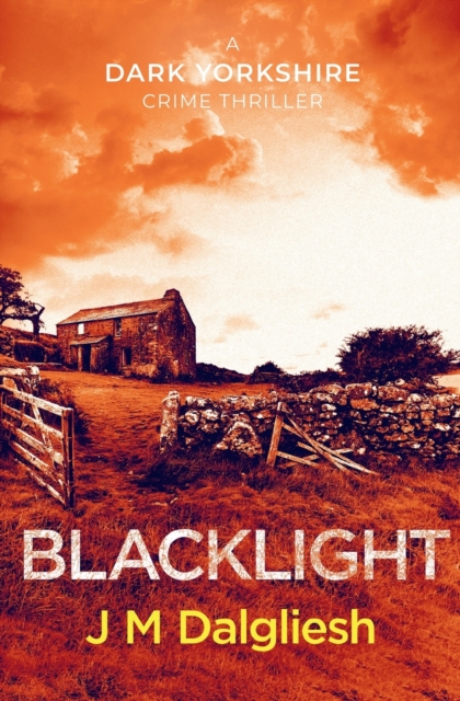 Blacklight, Paperback / softback Book