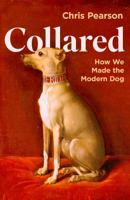 Collared : How We Made the Modern Dog, Hardback Book