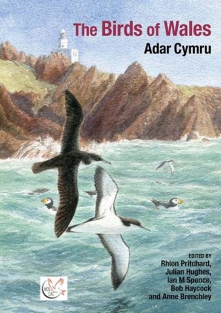 The Birds of Wales, Hardback Book