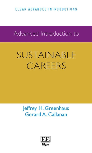 Advanced Introduction to Sustainable Careers, PDF eBook