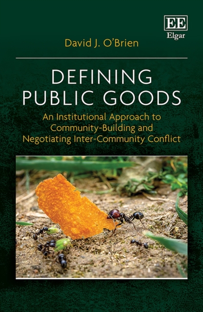 Defining Public Goods : An Institutional Approach to Community-Building and Negotiating Inter-Community Conflict, PDF eBook