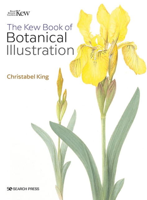 Kew Book of Botanical Illustration (paperback edition), PDF eBook